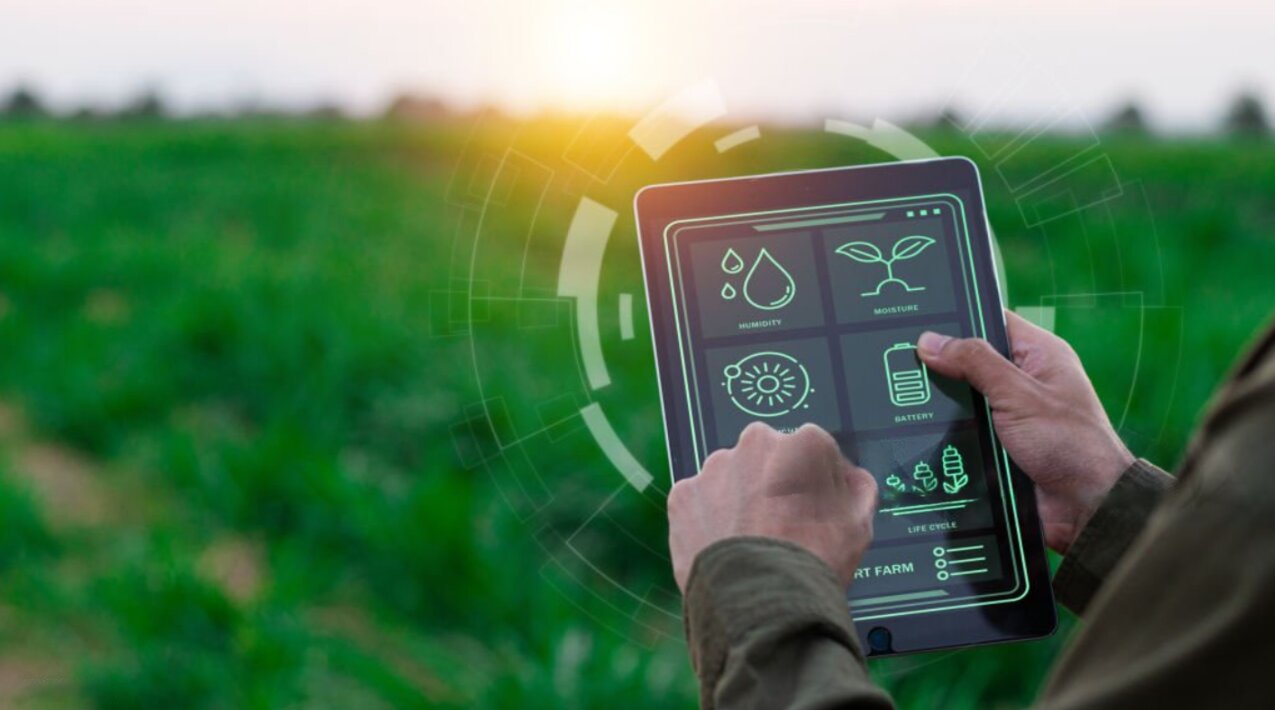 A grower checking humidity, soil moisture and battery readings on a tablet in a field at sunrise